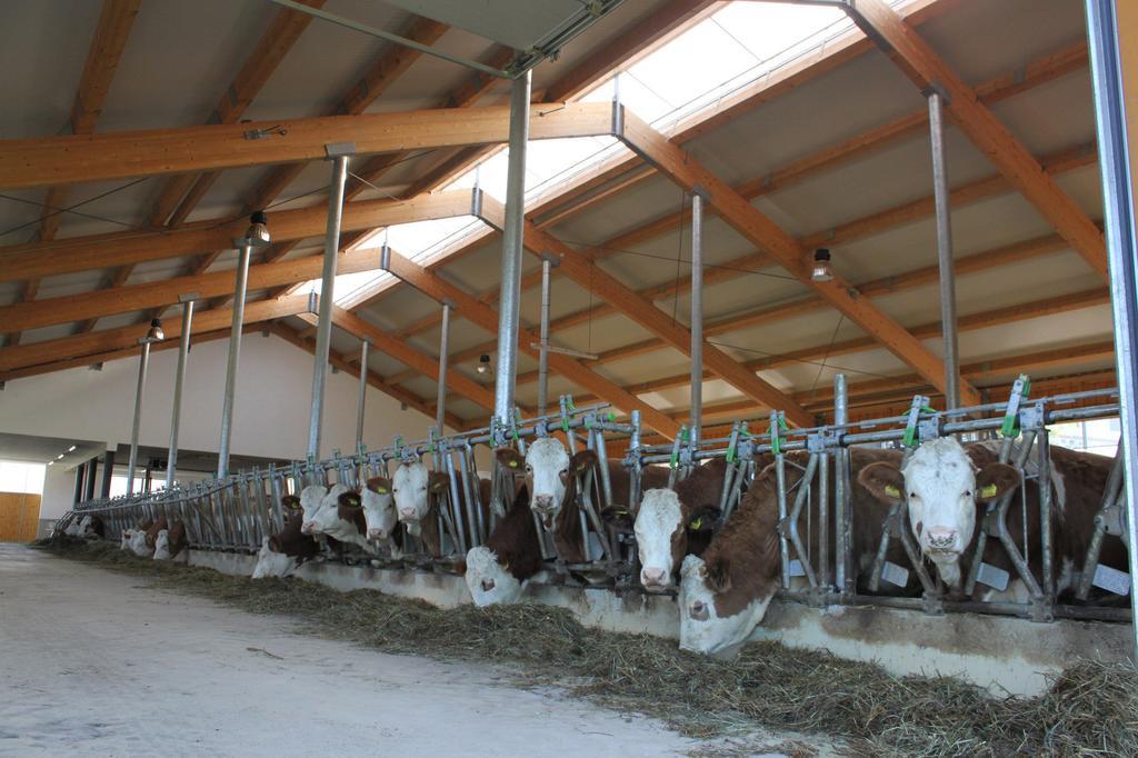 Ganhoer- Fam. Kaar Wintersdorf Ngoại thất bức ảnh